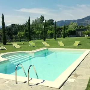 In Lucca